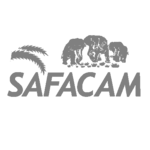 safacam